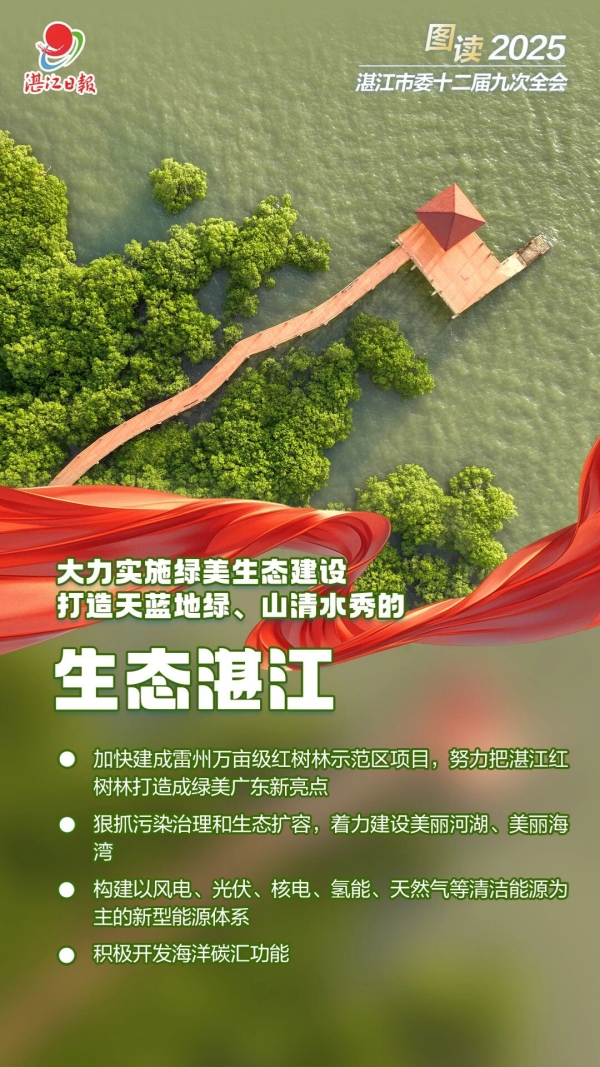 1765856247659150.jpg 4.jpg